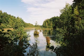 Wycieczki rowerowe - bagno koo wsi Topio