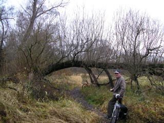 Tereny podmoke nad Bugiem fot. M. Zychowiecki